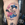 Artista Josep Juárez Estamos en c/ Mare de Deu de Montserrat 50, local derecha Granollers. Barcelona. #granollers #tattoogranollers #granollerstattoo #blackandgreytattoo #ink #tattoo #doblejtattoo #realtattoo #realismtattoo #nofilter #barcelonatattooartis